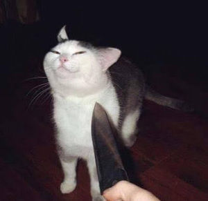 Meet your Posher, Melanie